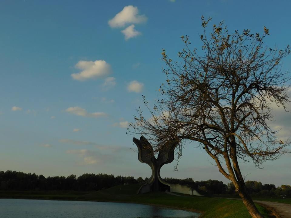 Kod Ribica Bed & Breakfast Jasenovac Ngoại thất bức ảnh